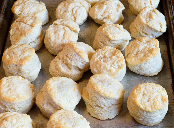 biscuits 14