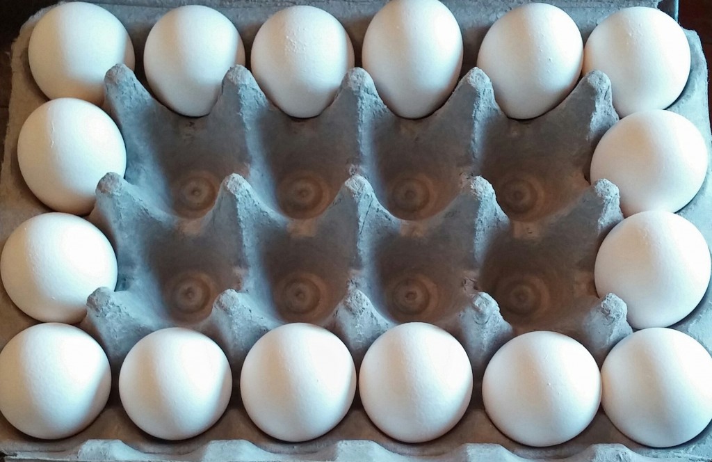 eggs